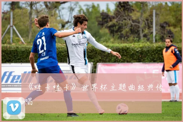 《哇卡哇卡》世界杯主题曲经典传唱