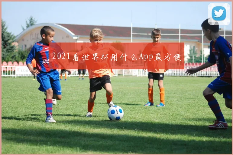 2021看世界杯用什么App最方便