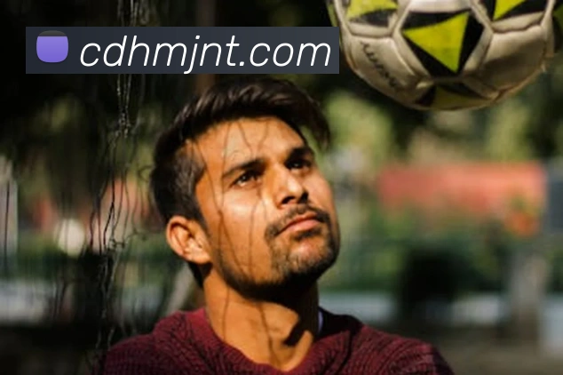 企业概况